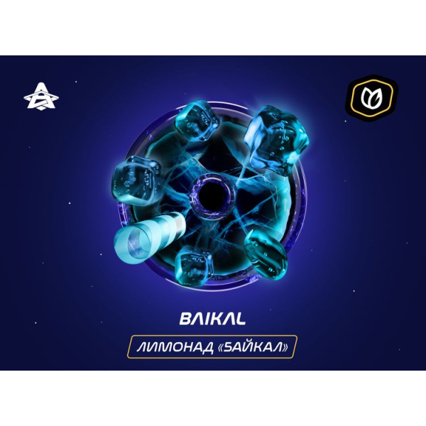 Паста Space Smoke Tobacco Baikal 30 гр в Самаре