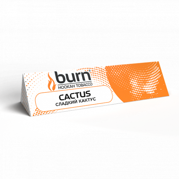 Табак BURN CACTUS 25 грамм в Самаре