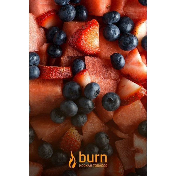 Табак Burn Berried Treasure 100 грамм в Самаре