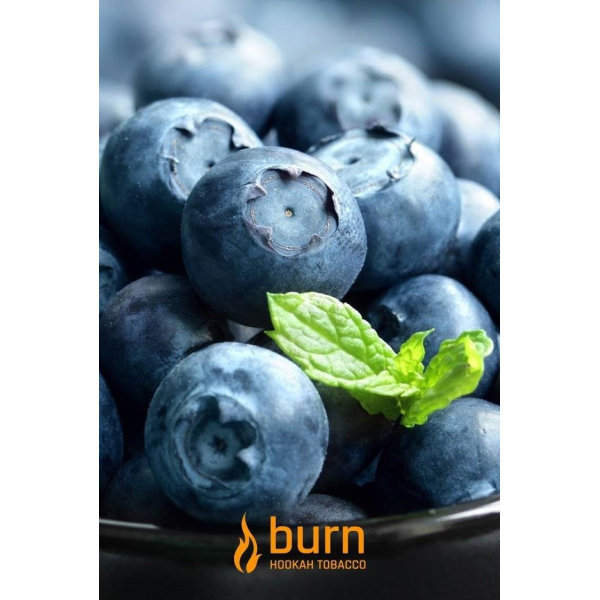 Табак Burn Blueberry Mint 100 грамм в Самаре