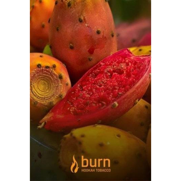 Табак Burn Cactus 100 грамм в Самаре