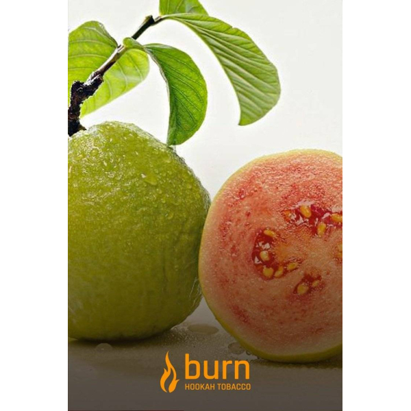 Табак Burn Guava 100 грамм в Самаре
