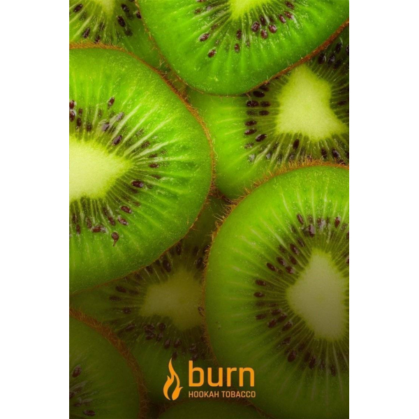 Табак Burn Kiwi 100 грамм в Самаре