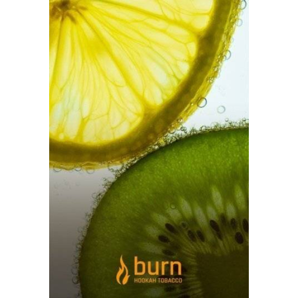 Табак Burn Kiwi Lemon 100 грамм в Самаре