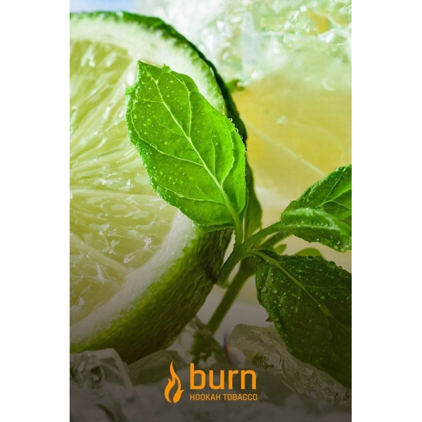 Табак Burn Lemon Mint 100 грамм в Самаре