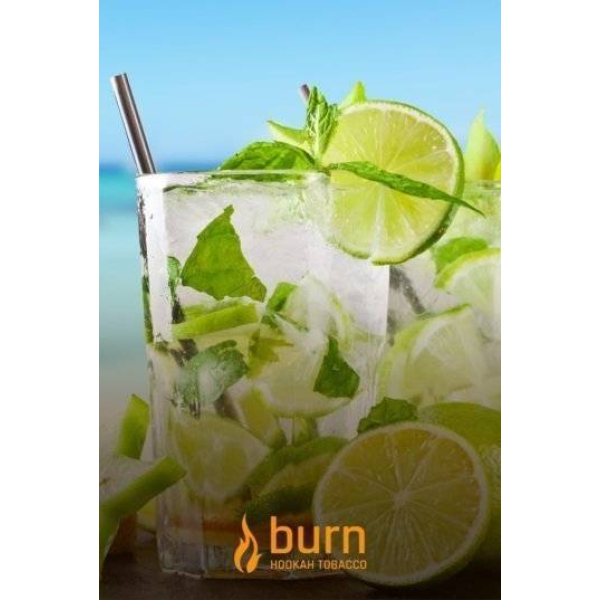 Табак Burn Mojito 100 грамм в Самаре