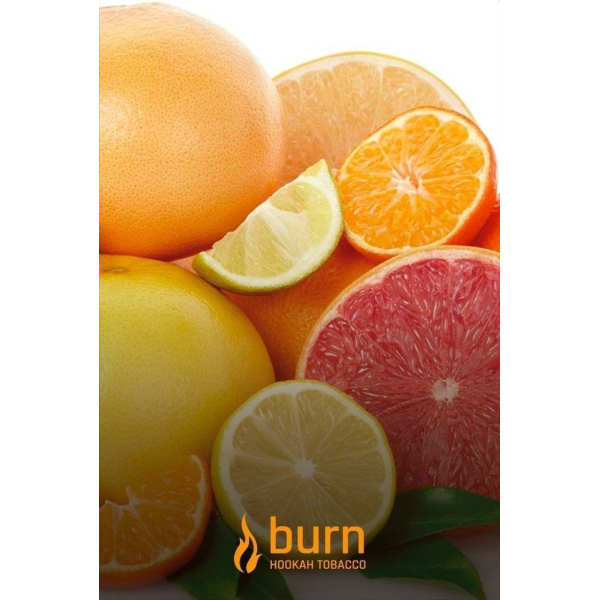 Табак Burn SundaySun 100 грамм в Самаре