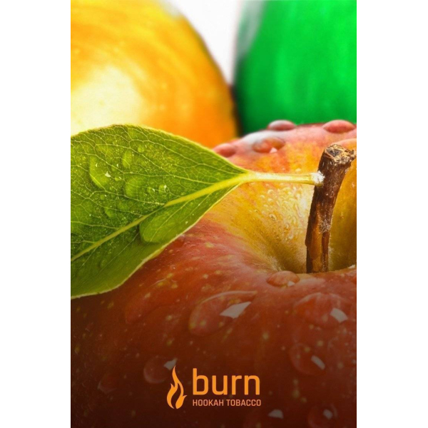 Табак Burn Three Apples 100 грамм в Самаре