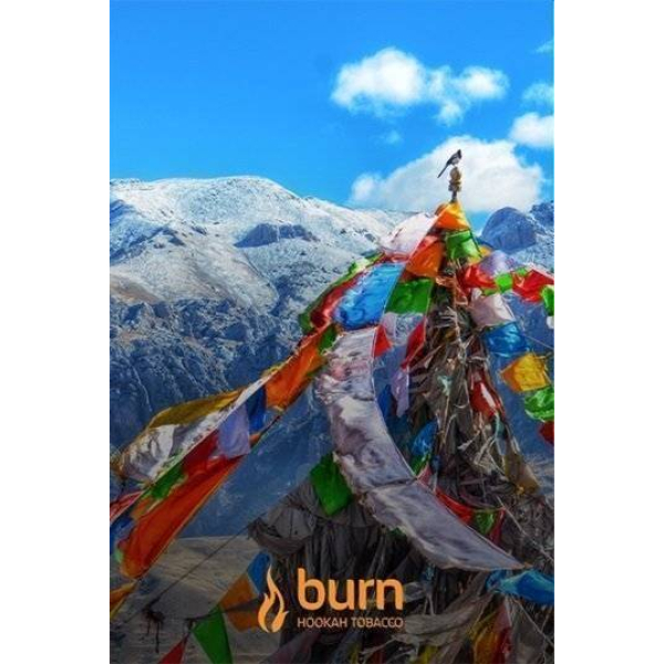 Табак Burn Tibet 100 грамм в Самаре