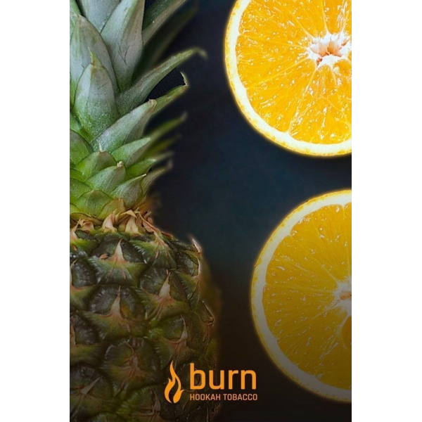 Табак Burn White Night 100 грамм в Самаре