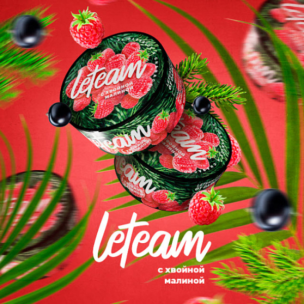 Смесь Leteam С Хвойной Малиной 25 гр в Самаре