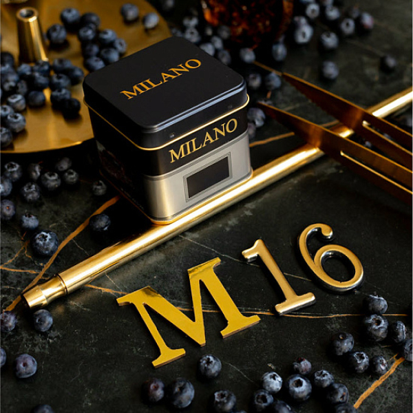 Табак MILANO GOLD М16 BILBERRY 100 гр в Самаре