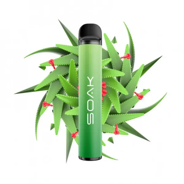 SOAK X Aloe Vera (Алое Вера), 1500 тяг в Самаре