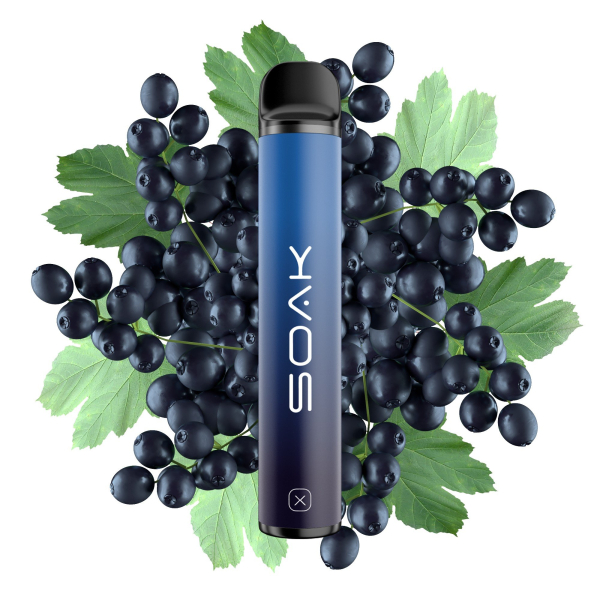 SOAK X Forest Blackcurrant (Лесная черная смородина), 1500 тяг в Самаре