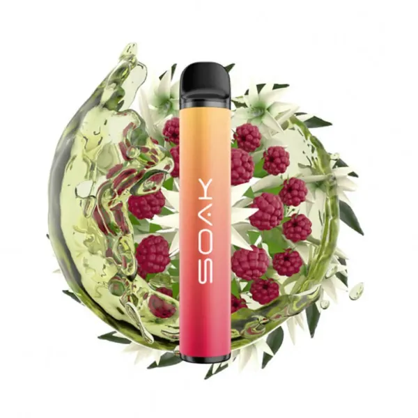 SOAK X Jasmin Raspberry Tea (Жасминовый чай с малиной), 1500 тяг в Самаре