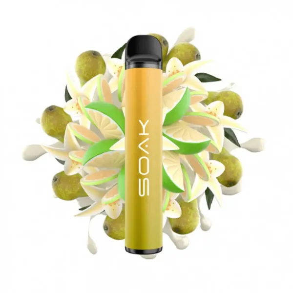 SOAK X Vanilla Pear (Ванильная груша с лаймом), 1500 тяг в Самаре