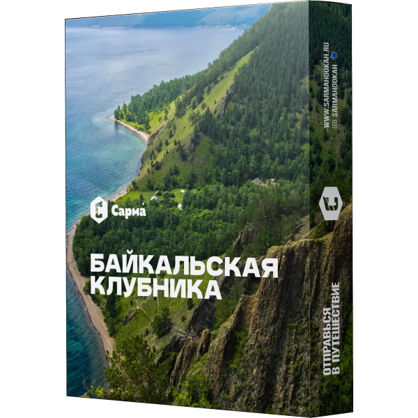 Табак Сарма Байкальская Клубника 25 гр в Самаре