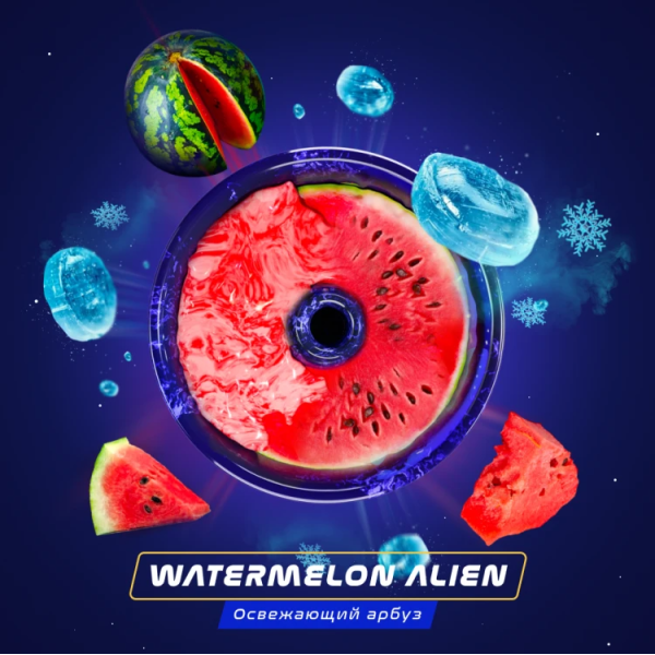 Паста Space Smoke BASIC Watermelon  Alien (Арбуз с  холодком) 125 гр в Самаре