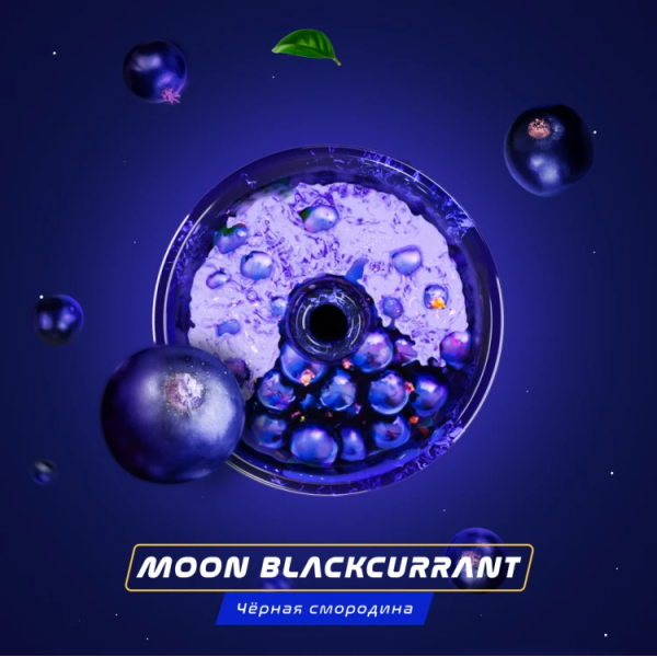 Паста Space Smoke BASIC Moon  Blackcurrant (Черная  смородина) 30 гр в Самаре