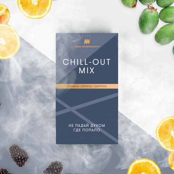 Табак Шпаковского Chill Out (Ежевика Фейхоа Цитрусы) 40 грамм в Самаре