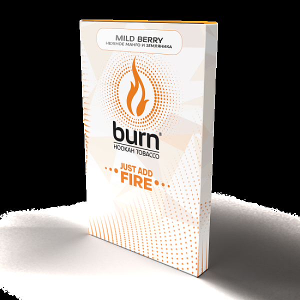 Табак Burn Mild Berry  100 грамм в Самаре